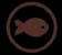 Pesce